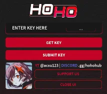 Copying the HoHo Hub key link